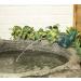 Primrose 10cm Blue Japanese Carp Fish Spout Pond Spitter Fountain Indoor Outdoor Garden Oxygenator Feature - Buy Online on GoSupps.com