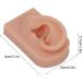 Silicone Right Human Ear Model for Jewelry Display and Piercing Practice - Dark Skin - Buy Online on GoSupps.com