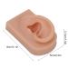 Silicone Ear Model for Piercing Training | Soft Flexible & Reusable Human Ear Display (Dark Skin Color) - International Shipping Available - Buy Online on GoSupps.com