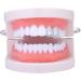Hip Hop Hollow Open Face Double Tooth Teeth Caps Teeth Cover Punk Grills Tooth Cap Cosplay Party Rapper Jewelry Teeth Decor silver - Buy Online on GoSupps.com