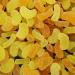 Joris Orange & Lemon Segments Soft Jellies Belgian Sweets Candy Gift Box 1kg - Buy Online on GoSupps.com