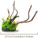 Buy Ctpeng Resin Aquarium Decoration Tree Trunk - Natural Sunken Wood Cave Ornament (23x15.5x11 cm) - Ideal for Fish Tanks - Buy Online on GoSupps.com