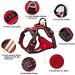 Truelove No Pull Dog Harness | Reflective Adjustable Soft Padded Vest TLH56512 L Royal Blue | Shop Internationally - Buy Online on GoSupps.com