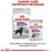 ROYAL Canine Adult STERILISED Maxi 12KG - Buy Online on GoSupps.com