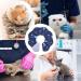 Doryum Cat Cone Collar Cat Recovery Collar Adjustable Cat Soft Cone Collar Pet Protective Cotton Cone Elizabethan Collar for Cat Pet Protective Collar Cat Cones After Surgery (Medium) - Buy Online on GoSupps.com