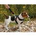 Karlie Car Safety Harness Nylon - Size L | Secure Pet Travel | International Shipping Available - Buy Online on GoSupps.com