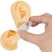 Buy 2 Pairs 3D Fake Ear Display - Reusable Silicone Ear Model for Piercing & Acupuncture Practice | International Shipping - Buy Online on GoSupps.com
