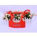 Baby Handheld Toddler Walking Wings Helper Safety Harnesses Learning To Walk Assistant Stand Up and Walking Protective Belt (Red) - Buy Online on GoSupps.com