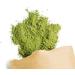 Terra Elements Organic wheat grass powder 125g I 100% pure I vegan I raw quality - Buy Online on GoSupps.com