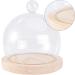 NOLITOY 1 Set Glass Cover High Borosilicate Glass Arch Dust Cover Round 12cm - Buy Online on GoSupps.com