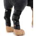 Dog Front Leg Braces Canine Compression Wraps Pet Knee Pad Dog Elbow Protector with Reflective Straps Help with Ligament Injuries Sprains and Loss of Stability Caused by S (Pack of 1) - Buy Online on GoSupps.com