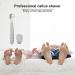 Luoileily Pedicure Foot Rasp & Callus Shaving Kit - 20 Blades Professional Foot Care Scraper for Dead Skin & Hard Skin Remover - Buy Online on GoSupps.com