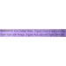 Bragg Apple Cider Grape & Acai 16oz - Pack of 12 | Organic ACV Drink - Buy Online on GoSupps.com