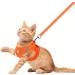 Femax Soft Mesh Dog Harness & Leash for Small/Medium Dogs & Cats - Adjustable Reflective No Pull Vest for Puppies - Orange (Chest 30-34cm) - Buy Online on GoSupps.com
