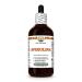 Hawaii Pharm Spirulina Alcohol-Free Extract Glycerite for Lipid Balance Promotes Vitality Supports Immune Function Provides Antioxidant Protection - 4 fl.oz 4 Fl Oz (Pack of 1)