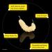 Rubber Wax Worm Grub #10 - 12 pcs Soft Plastic Maggots Fishing Bait for Trout, Crappie, Pan Fish - Fake Maggots for Fly Fishing - Buy Online on GoSupps.com