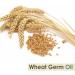Wheat Germ Essential Oil 100% Pure & Natural - Undiluted Uncut Cold Pressed Aromatherapy Premium Oil - Therapeutic Grade - 100 ML Wheat Germ 100 ml (Pack of 1) - Buy Online on GoSupps.com