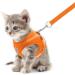 Meioro Dog Harness with Leash - Softly Padded Adjustable Vest for Small & Medium Dogs - Reflective Black & Orange for Puppies - XS Size (26-29cm) - Buy Online on GoSupps.com