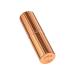 Charlotte Tilbury Matte Revolution Lipstick - Walk of No Shame - Buy Online on GoSupps.com