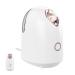 Vaporisateur Visage | Humidificateur Visage Portable - Vapeur Portable Visage Purifiant Pores Apaisant