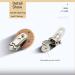 Shop 10PC Baby Pacifier Clips - Wooden Pacifier Chains & Accessories | Safe & Stylish Dummy Clip Holders for Babies - Buy Online on GoSupps.com