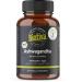 Ashwagandha 150 capsules bio - 1500mg daily dose - Withhania somnifera - Indian Ayurveda - without additives - sleepberry - filled in Germany - Biotiva