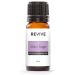 Clary Sage Essential Oil by REVIVEEO - 100% Pure Therapeutic Grade for Diffuser Humidifier Massage Aromatherapy Skin & Hair Care Clary Sage 0.34 Fl Oz (Pack of 1)