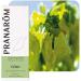 Buy Apio Semilla 10 ml - Premium Quality Seeds for Global Shipping | Fast Delivery - Buy Online on GoSupps.com