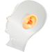 Silicone Waterproof Flexible Ear Display Model with Acrylic Stand for Hospitals - Ideal for Earrings - Buy Online on GoSupps.com