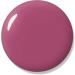Bluesky Gel Polish PINK ENGLISH ROSE SPRING SUMMER BP08 UV LED Soak Off 10ml Pink Rose 10 ml (Pack of 1) - Buy Online on GoSupps.com