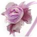 Thin Pink Silk Rose Flower Alice/Hair Band/HeadBand - Buy Online on GoSupps.com