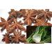 Buy Anise-Fennel Sauna Infusion Concentrate - 1L HDPE Bottle with Dropper Cap & Child Safety Lock | International Shipping Available - Buy Online on GoSupps.com