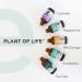 Plant of Life Essential Oil - 100% Pure and Natural - Therapeutic Grade Essential Oil with Dropper (Eucalyptus 2 oz (60mL)) - Buy Online on GoSupps.com