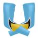 poeticcity St Lucia Flag 1 Pair Arm Sports Sleeves Cooling Warmer UV Protection