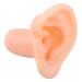 Buy Premium Ear Model Ear Mold - Custom Fit & Fast International Shipping - Buy Online on GoSupps.com