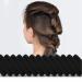 Black Elastic Anti-Breakage Hair Ties with Organizer - Gentle Ponytail Holders for Men, Women, Girls, and Kids - Ideal for Thin, Thick, and Curly Hair - No Pull, No Damage - Buy Online on GoSupps.com