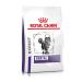 ROYAL CANIN Veterinary Diet Dry Cat Food Dental 3 Kg Dental 3 kg (Pack of 1)