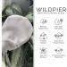Wildpier Ultimate Deep Exfoliating Glove Mitt - Best Body Scrub for Bath & Spa Plant-Based Dead Skin Cell Remover Black - Buy Online on GoSupps.com