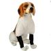 2PCS Dog Leg Brace Dogs foreleg/Rear Legs Surgical Injury Wound Protector Hock Joint Wraps Kneecap for Injuries Sprains Arthritis (Black S) - Buy Online on GoSupps.com