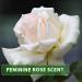 Buy KitaMa Aromatherapy Massage Oil - Nourishing Rose Body Oil for Relaxation - 5000ml (5L) - Thai Aroma Oil for Massages - International Shipping Available - Buy Online on GoSupps.com