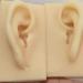 Human Ear Model Flexible Soft Silicone Imitation Real Ear Teaching Model -1 Pair Ear Mold Artificial Display Sample Educational Resources in Scienc - Buy Online on GoSupps.com