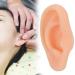 Simulated Silicone Acupuncture Ear Model for Explanation - Professional Soft and Elaborate (Right) - Buy Online on GoSupps.com