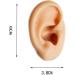 Silicone Ear Model for Acupuncture - Life Size Artificial Ear Model - Simulation Silicone Ear Model for Ear Picking Practice Studs Earring Display Props - Buy Online on GoSupps.com