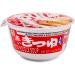 WaNaHong Maruchan Japanese Instant Udon Bowl with Fried Tofu BOX of 12 Bowls  - Buy Online on GoSupps.com