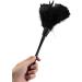 kzxbty 1pc Fashion Turkey Duster with Black Plastic Handle Cleaning Tool(black) 35cm - Buy Online on GoSupps.com