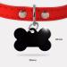 Ibera Gifts - Personalized Bone-Shaped Pendants for Dogs & Cats | Custom Engraved Neck Bands in Black Stars - Buy Online on GoSupps.com