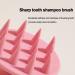 DELITLS Root Comb Applicator Bottle & Scalp Massager Shampoo Brush - Hair Coloring Dye & Treatment Tools (Pink) | International Shipping Available - Buy Online on GoSupps.com