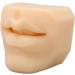 Jauarta Human Mouth Model - Soft Silicone Lifelike Lips for Jewelry Display | High Simulation - Buy Online on GoSupps.com