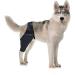 INOOMP Dog Leg Braces for Hindleg Dog Leg Knee Puppy Leg Cover Dog Knee Cover Pet Injury Knee Puppy Brace Leg Supplies Dog Foreleg Brace Dog Knee XL As Shown - Buy Online on GoSupps.com