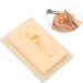 Human Ear Model - Comfortable Lightweight Soft Silicone for Teaching Demonstrations (Left) - International Shipping Available - Buy Online on GoSupps.com